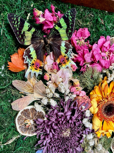 11x14 Shadow Box Arrangement