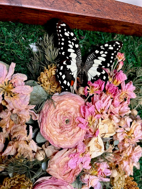 9x9 Shadow Box Arrangement