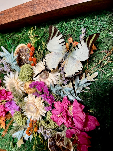 9x9 Shadow Box Arrangement