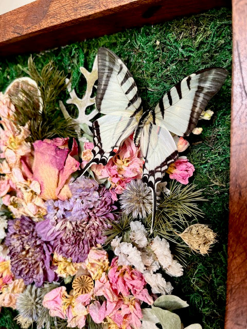 9x9 Shadow Box Arrangement