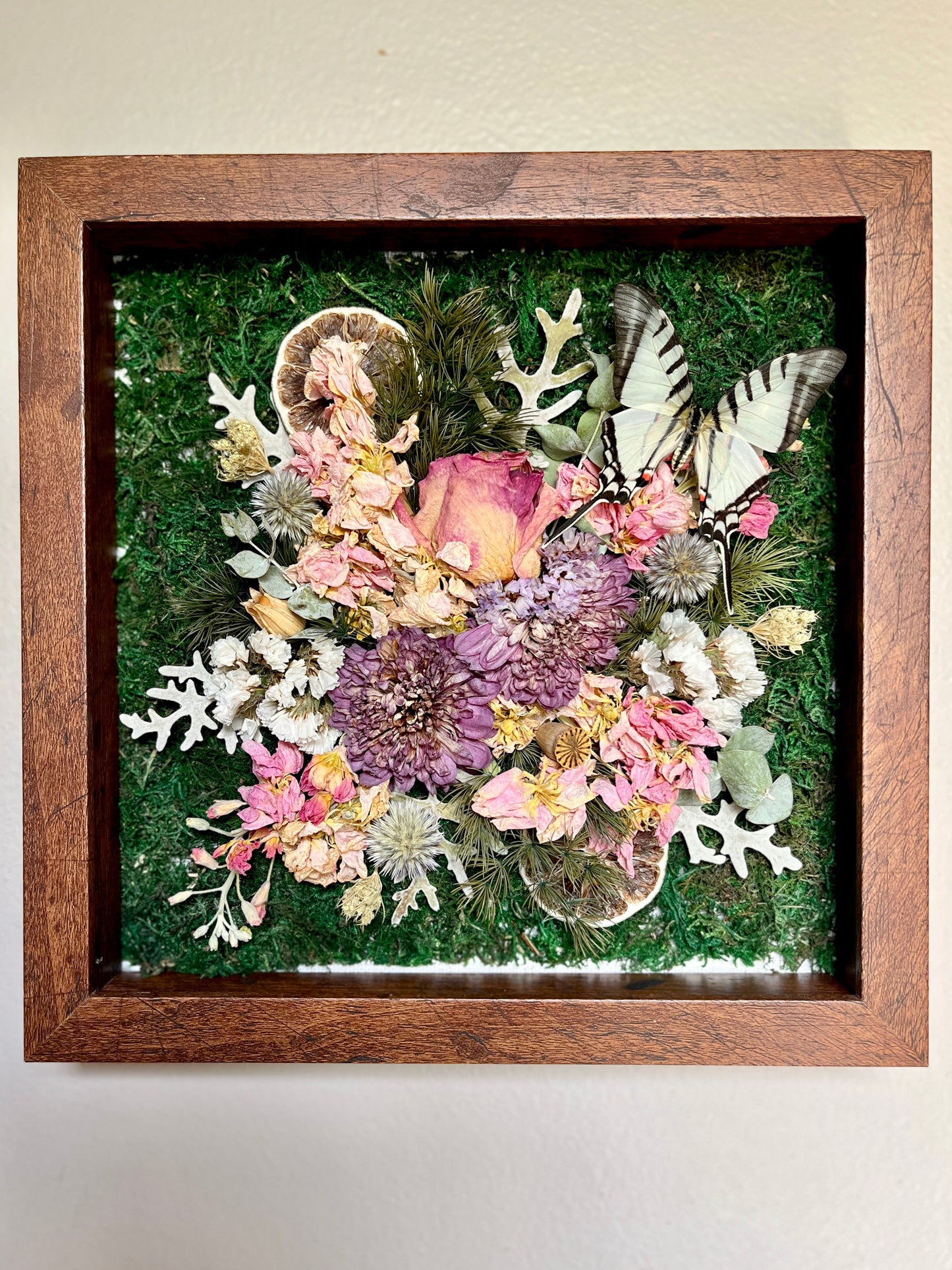 9x9 Shadow Box Arrangement